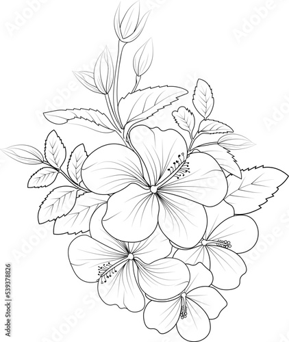 hibiscus  blossom flowers and branch vector illustration. hand Drawing vector illustration for the coloring book or page Black and white engraved ink art  for kids or adults. 
