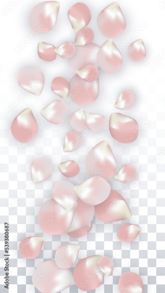 Pink Vector Realistic Petals Falling on Transparent Background. Spring Romantic Flowers Illustration. Flying Petals. Sakura Spa Design. Blossom Confetti. Design Elements for Wedding Decoration.