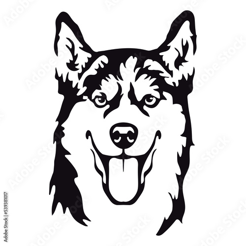 Portrait of Siberian Husky.  Isolated outline sketch,contour vector illustration