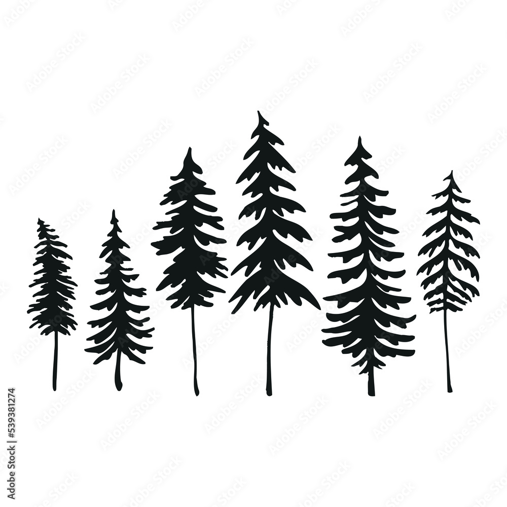 Pine trees and camp image design. Tall pine trees standing side by side black and white vector