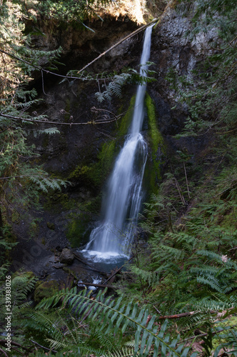 Shot of Marymere Falls from a bush, Olympic Peninsula, USA photo