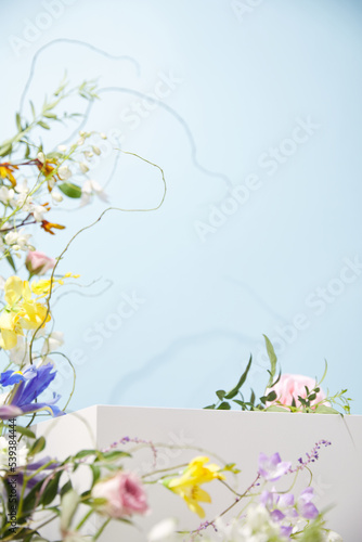 Background 배경 꽃 단상자