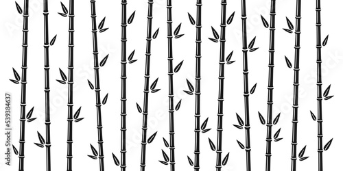 Bamboo background with stalk, branch and leaves. Bamboo grove backdrop design. Vector illustration isolated in flat style on white background.