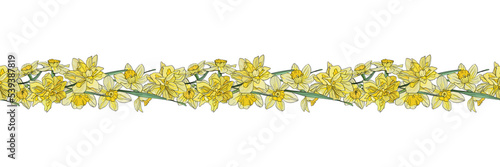 Horizontal border, frame of blooming daffodils. Seamless botanical pattern. Flowers in ink.