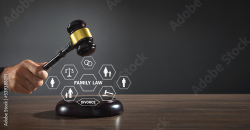 Tableau sur toile Family Law. Judge gavel on male hand