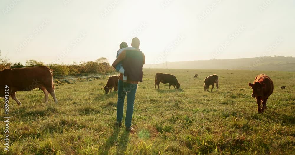 Family, farm and cattle with a girl and father walking on a field or grass meadow in the agricultural industry. Agriculture, sustainability and farming with a man farmer and daughter tending the cows Family, farm and cattle with a girl and father walking on a field or grass meadow in the agricultural industry. Agriculture, sustainability and farming with a man farmer and daughter tending the cows