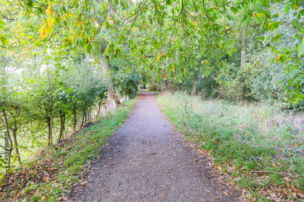 footpath through forest in english countryside uk footpath through forest in english countryside uk