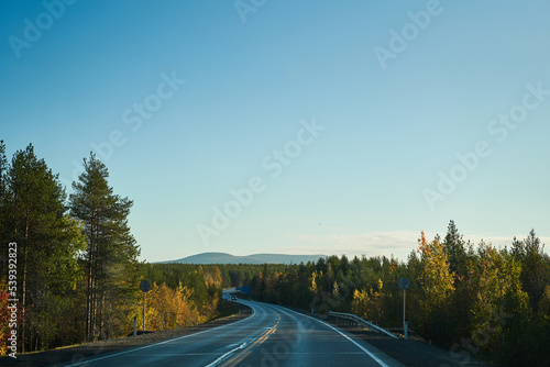 Highway through the autumn forest. Autumn forest highway