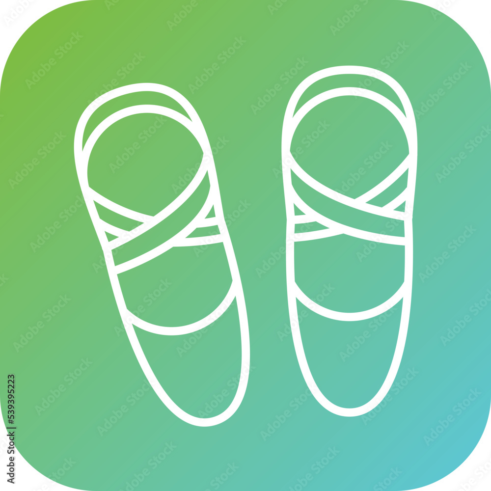Ballet Shoes Icon Style Ballet Shoes Icon Style