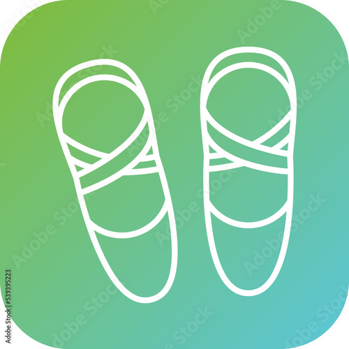 Ballet Shoes Icon Style