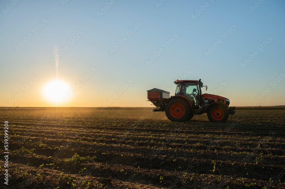 Fototapeta premium Tractor spreading artificial fertilizers