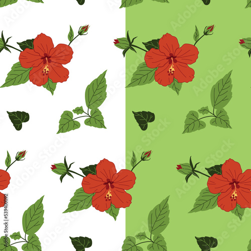 Seamless pattern of red Hibiscus flowers on a white and green backgrounds. Chinese rose. Vector illustration for decoration, postcards, print