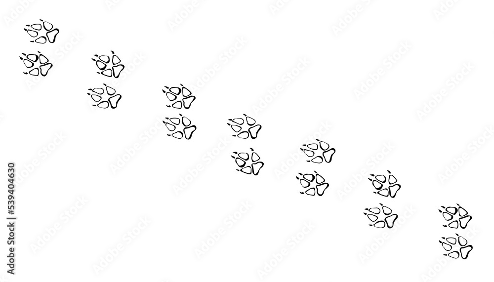 Dog Foot Print Vector Drawing Stock Vector Adobe Stock dog-or-cat-paw-print-animal-foot-flat-vector-icon-illustration