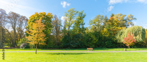 Beautiful fall trees and empty bench in the park, panorama 