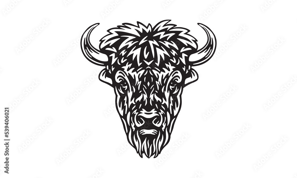 White background illustration of a buffalo. Vector illustration. Head ...