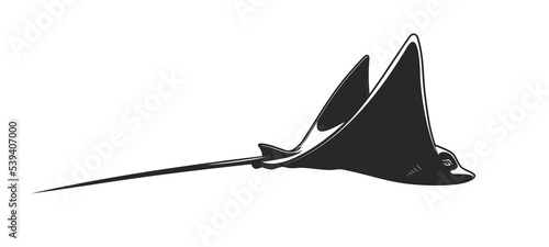 Manta ray, stingray, cramp fish. Ocean underwater animal, tropical sea deep life and coral seabed, marine deep creature. Sting ray or mataray or skate monochrome vector fish