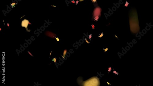 舞い散る紅葉