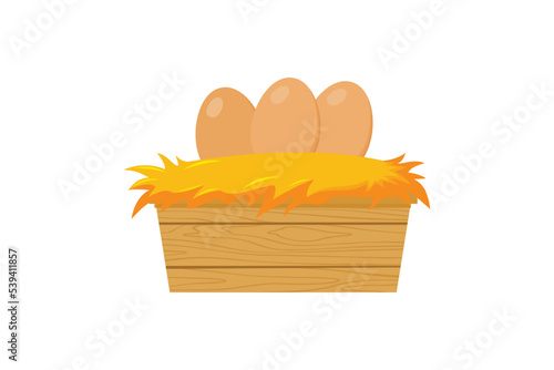 egg in the nest illustration design