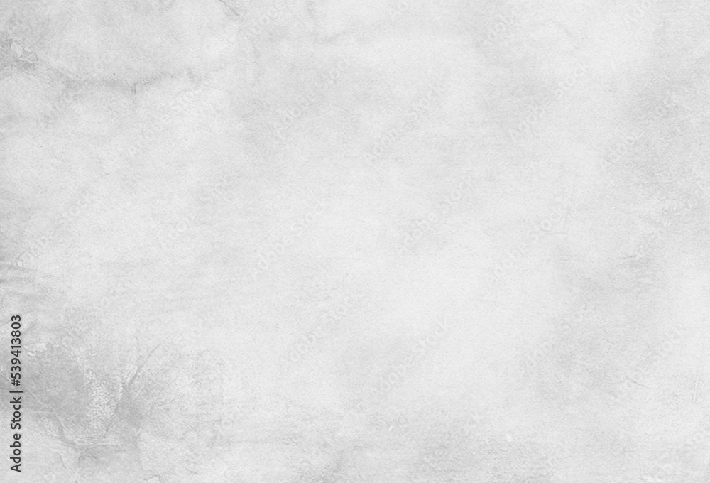 White concrete plaster wall texture backdrop background. grunge texture. white wallpaper. White concrete plaster wall texture backdrop background. grunge texture. white wallpaper.