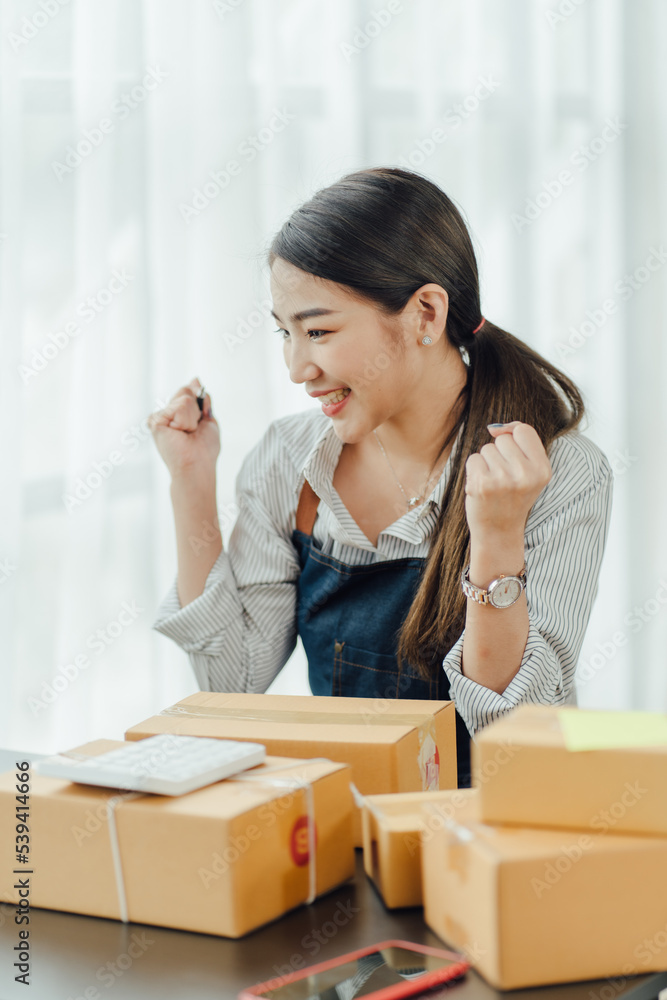 Asian teenager owner business woman work at home for online shopping and sale. Asian teenager owner business woman work at home for online shopping and sale.