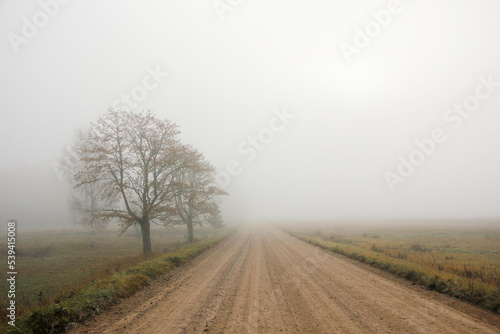 Lonely countryside road in Latvia with a tree beside a dirt road in the mist.