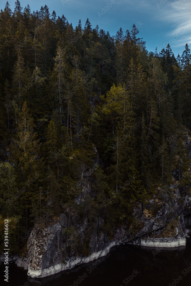 Trees in a forest standing on rocks by a lake. Trees in a forest standing on rocks by a lake.