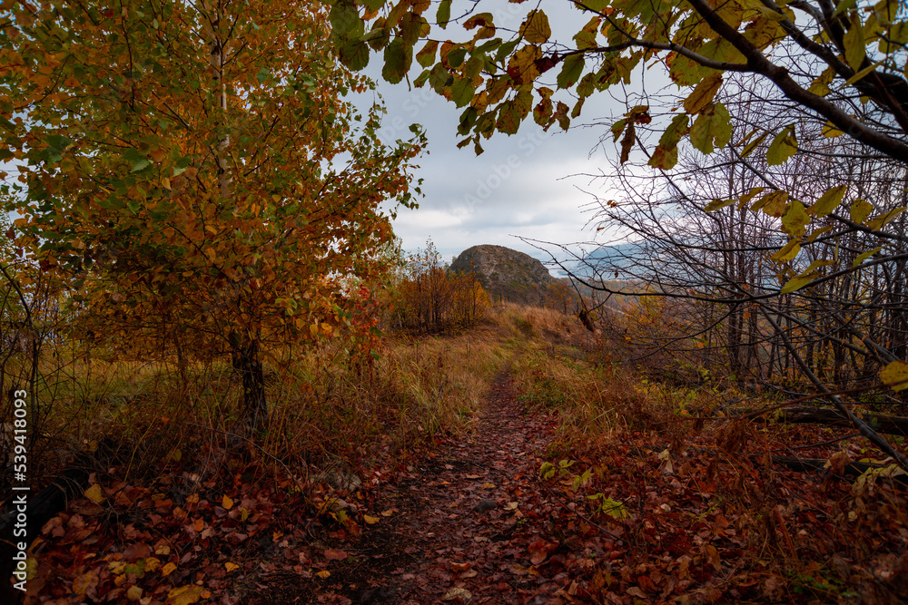 Fototapeta premium A stroll through the Zhigulyovo Mountains on an October day!