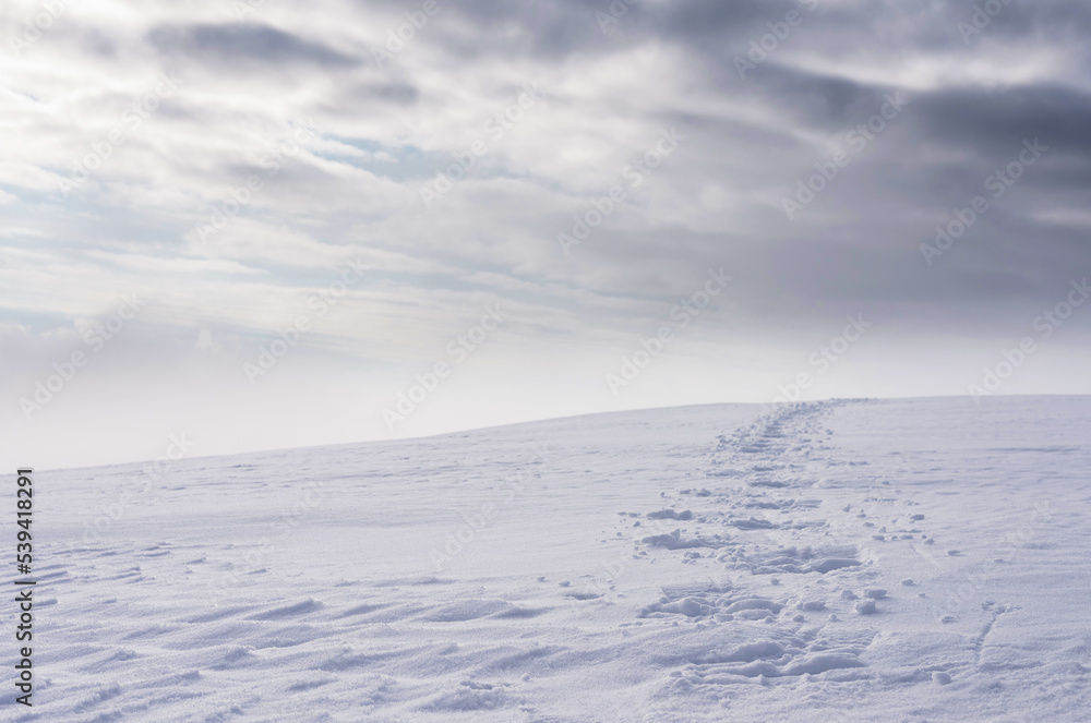 Snowshoe tracks on the surface of deep snow. Footprints on the snow slope leading to the horizon. Snowshoe tracks on the surface of deep snow. Footprints on the snow slope leading to the horizon.
