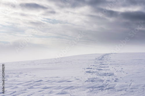 Snowshoe tracks on the surface of deep snow. Footprints on the snow slope leading to the horizon. © Oleksiy
