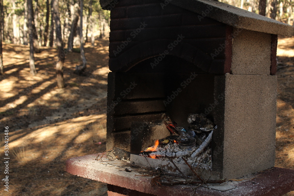 A man hand extinguished the fire in a grill with a bottle of water. Long exposure A man hand extinguished the fire in a grill with a bottle of water. Long exposure