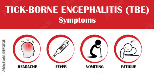 Tick-borne encephalitis symptoms, Flat style vector illustration isolated on white background.