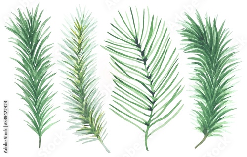 Set of watercolor green spruce branches