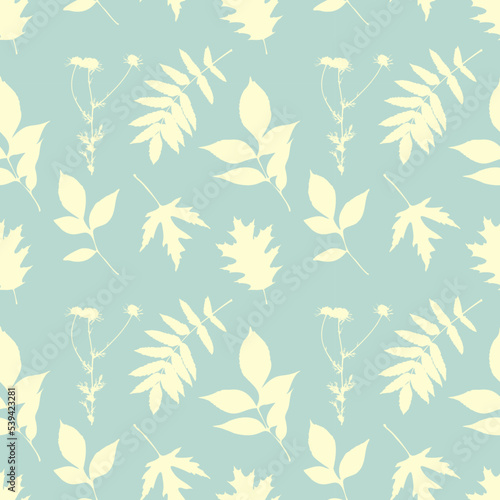 Camomile and  leaves silhouette,  pastel color, pattern. Stamp, imprint, herbarium, vintage.