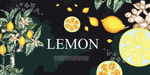 Lemon fruits, flowers and leaves. Culinary master class, studio, logo.
