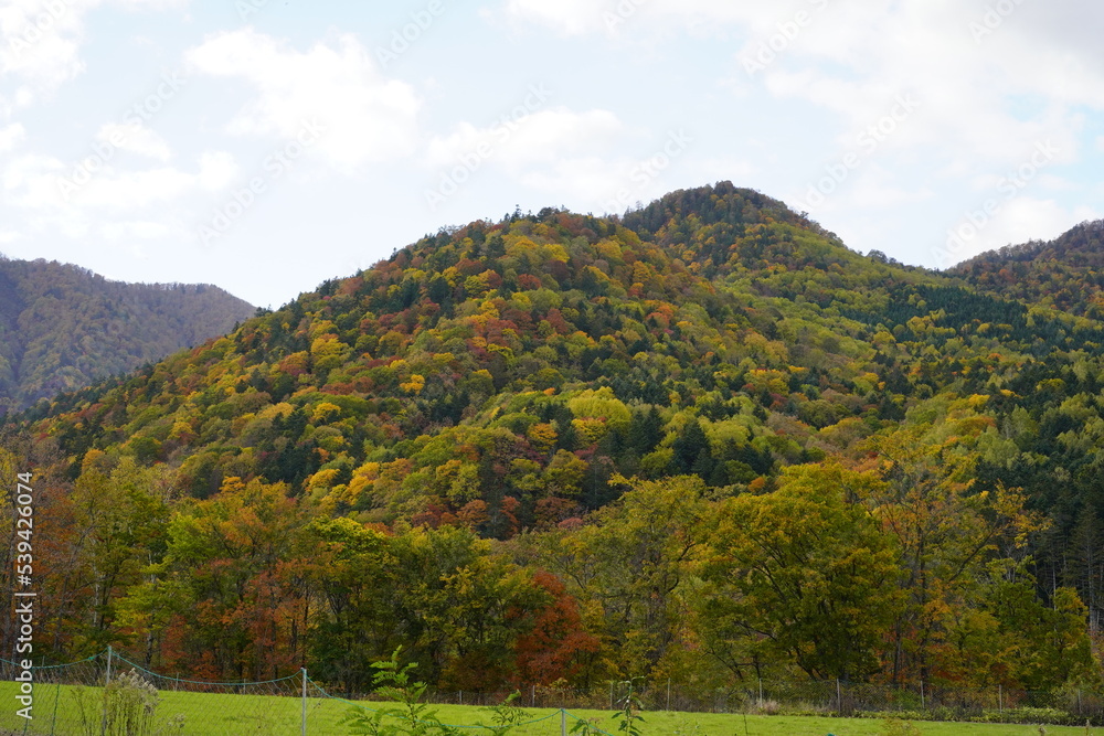 紅葉している山と快晴の富良野の空 紅葉している山と快晴の富良野の空