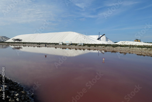 Les salines d'Aigues Mortes
