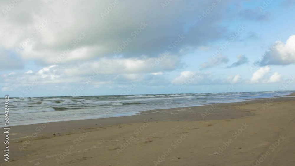 Panoramic view of Baltic sea coastline on a overcast day, steep seashore dunes damaged by waves, white sand beach, broken pine trees, coastal erosion, climate changes, wide handheld panorama shot Panoramic view of Baltic sea coastline on a overcast day, steep seashore dunes damaged by waves, white sand beach, broken pine trees, coastal erosion, climate changes, wide handheld panorama shot