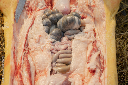 pork intestines close-up, ripped pork belly