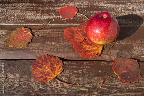 brązowe deski i liście jabłko 5