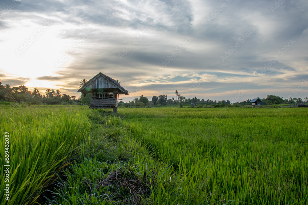 Rice huts with beautiful sunsets Rice huts with beautiful sunsets