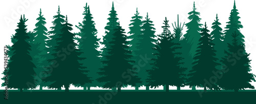 Fotografia forest, fir trees green silhouette design isolated vector
