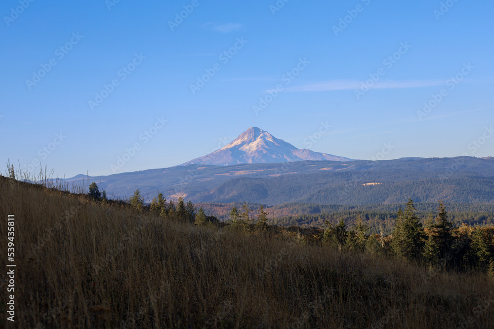 Obraz premium mount hood 