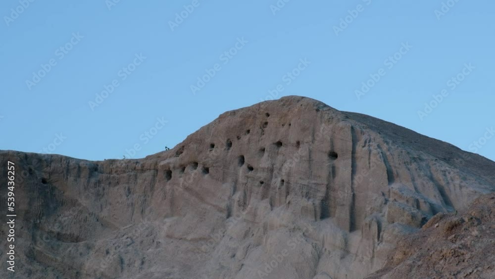 swallows fly around their nests against the backdrop of the sunset sky, swallows feed chicks in nests, swallows' nests in sand pits, mountains of sand with bird nests 4k swallows fly around their nests against the backdrop of the sunset sky, swallows feed chicks in nests, swallows' nests in sand pits, mountains of sand with bird nests 4k