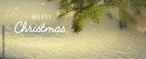 Christmas snowy fir tree branches close up. Christmas and winter concept.