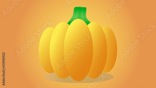 pumpkin illustration