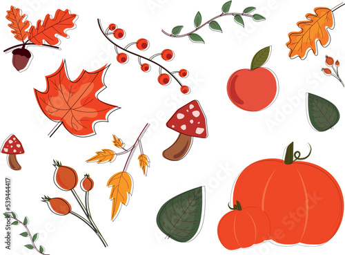 Autumn. Maple leaf, oak, poplar, wild rose, mountain ash, pumpkin, apple. Vector icon set