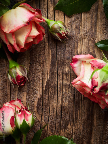 A few flowers of roses on a vintage wooden planks backdrop. Vintage background