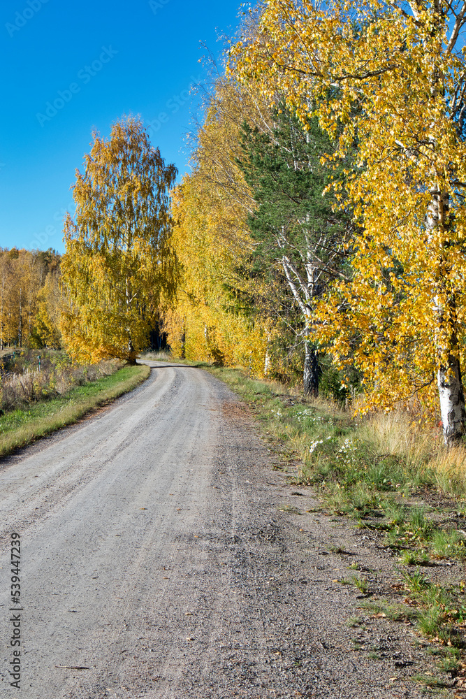 Autumn scenery in Lappeenranta, Finland