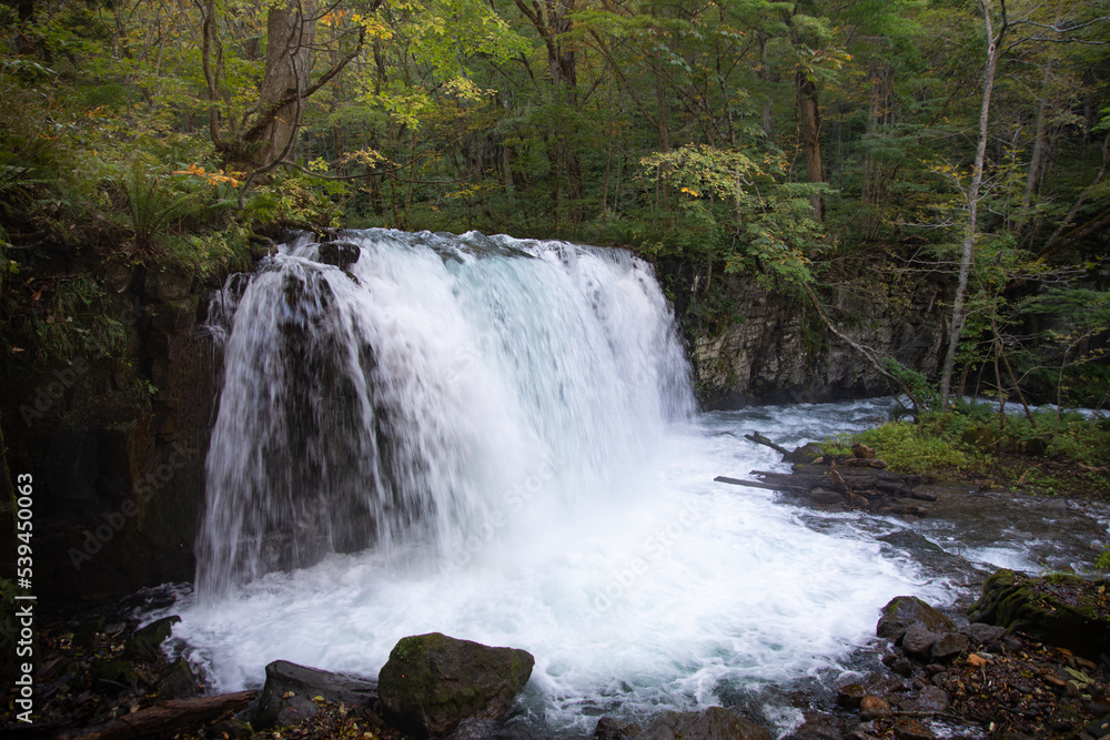 Obraz premium CHOSHIOTAKI waterfall at Oirase gorge in Aomori, Japan
