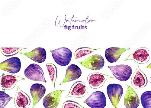 Watercolor hand drawn figs. Illustration of sweet fresh crop. Organic food for label, menu, recipes, packaging. Border with summet fruit harvest. photo